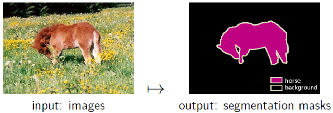 An illustration of the image segmentation problem.
